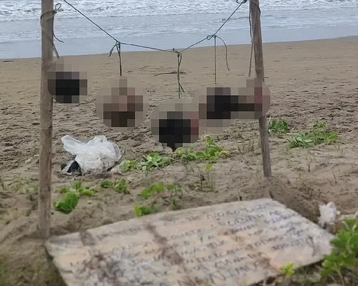 Пять цензурованих відсічених голів підвішені на стовпах на пляжі Пуерто-Лопес в Еквадорі