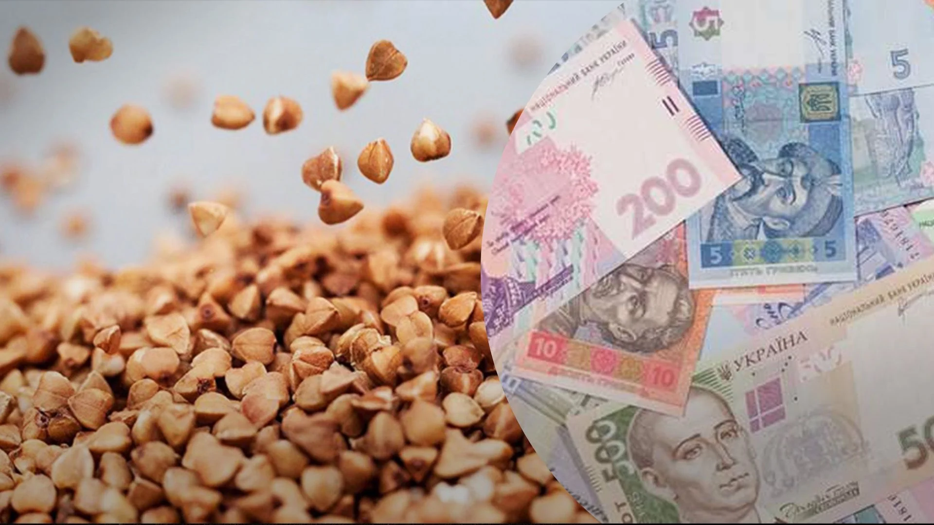 Гречка з гривнями 200 та 500 грн: прогноз подорожчання до 42 грн/кг в Україні