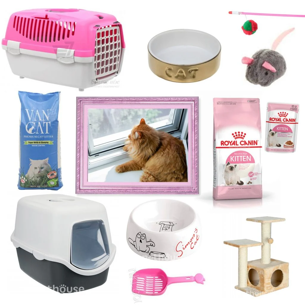 Базовий набір для кота в квартирі: лоток, корм Royal Canin Kitten, миски, переноска та іграшки