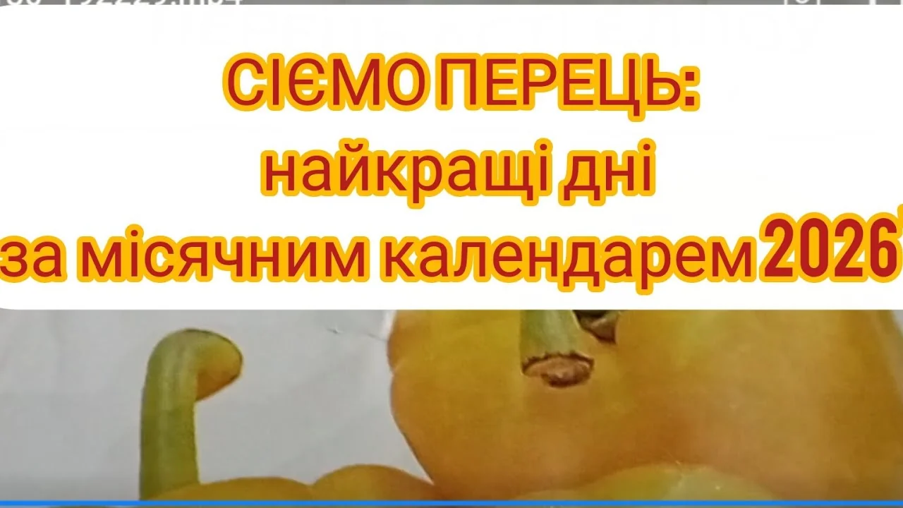 Свіжі зелені та жовті перці з написом «Сіємо перець: Найкращі дні за місячним календарем 2026».