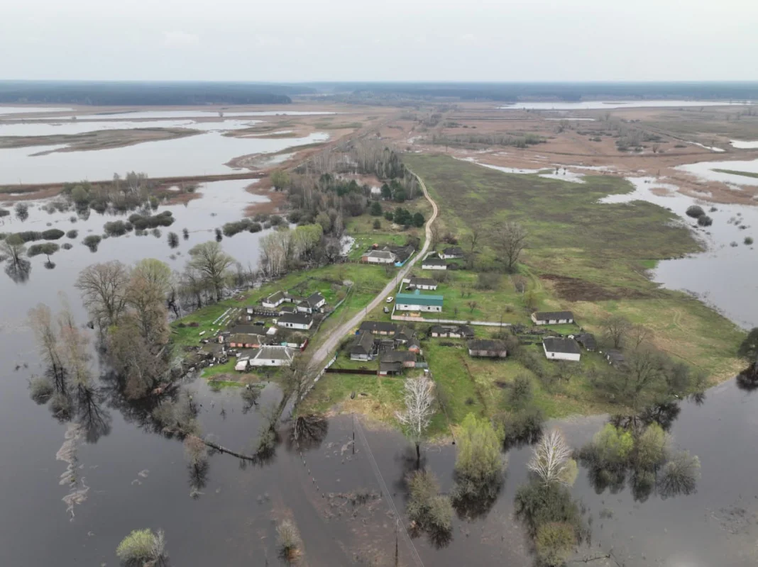 Повінь на Чернігівщині: затоплені поля та села в зоні ризику.