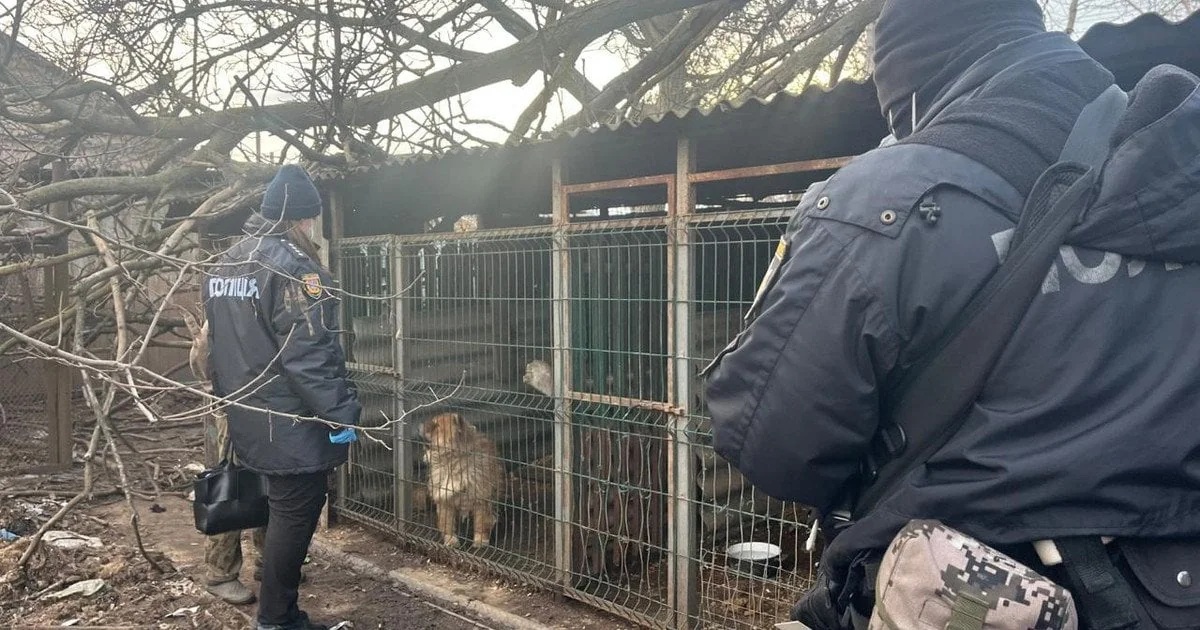 Поліцейські перевіряють собаку серед бруду в вольєрі розплідника на Одещині