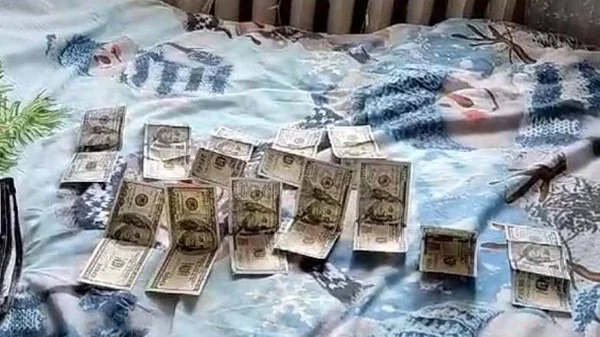 Вилучені долари на ліжку спальні під час обшуків у вінницьких лікарів