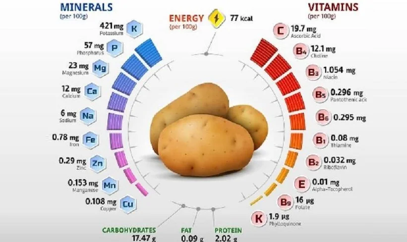 Інфографіка поживного складу картоплі: 77 ккал, вітамін С, калій 425 мг, магній 23 мг.