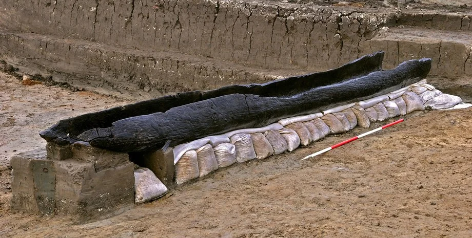 Викопні рештки карликового довгопалого опосума Dactylonax kambuayai з плейстоцену