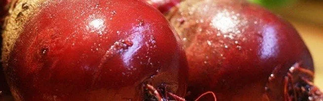 Соковиті буряки сорту Бордо для борщу та вінегрету