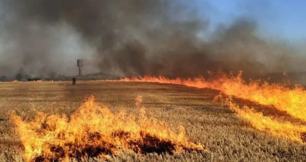Пожар в сухом поле Украины из-за солнечной погоды, угроза от синоптика