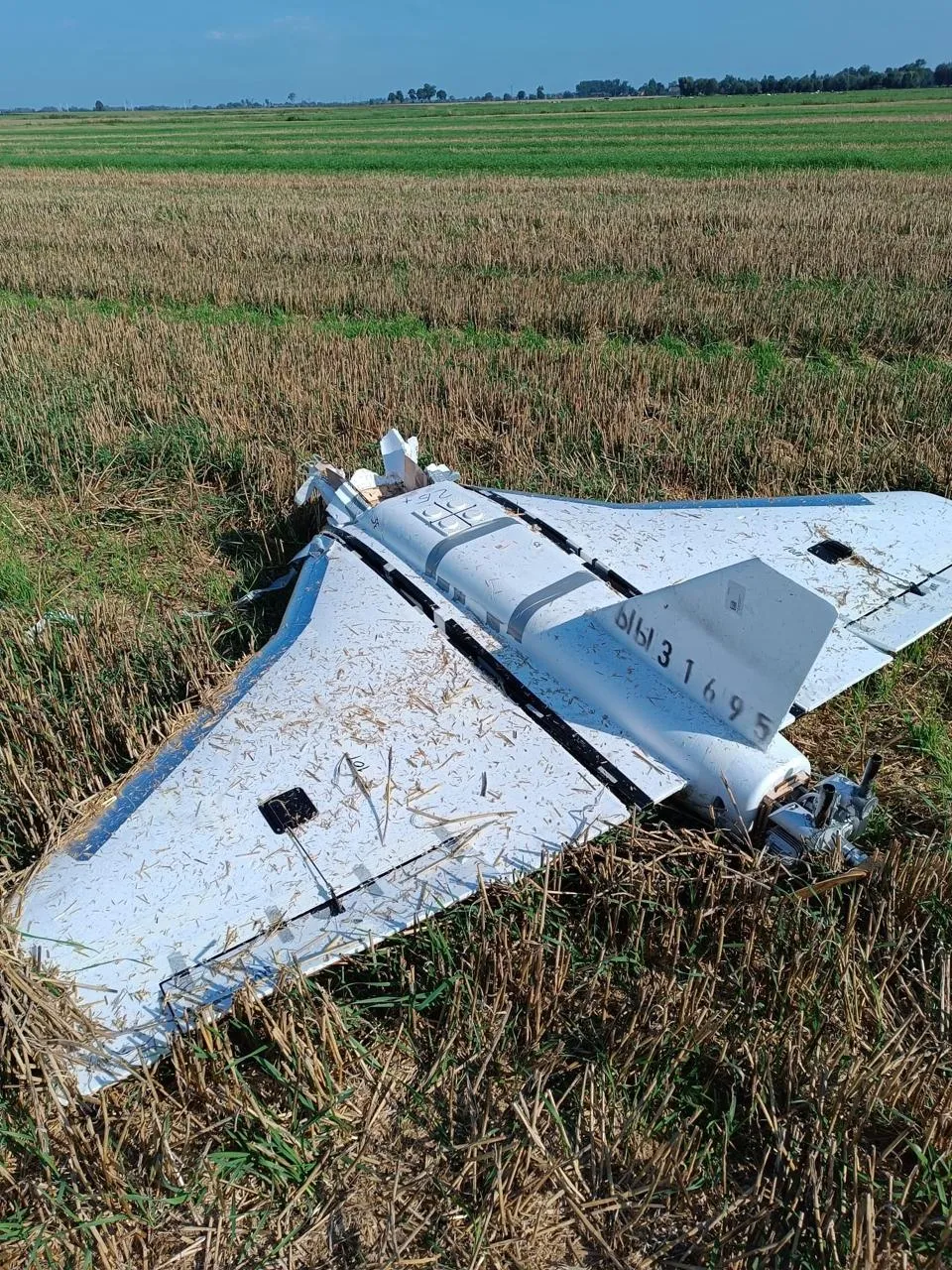 Розвіддрон з кирилицею «С3419», знайдений у польському полі біля кордону з РФ