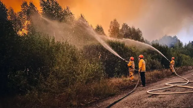 Рятувальники ДСНС гасять пожежу в Чорнобильській зоні відчуження