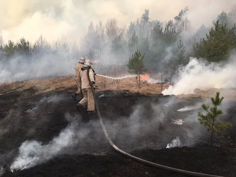 Рятувальники Житомирщини гасять лісову пожежу водяним струменем у задимленому лісі
